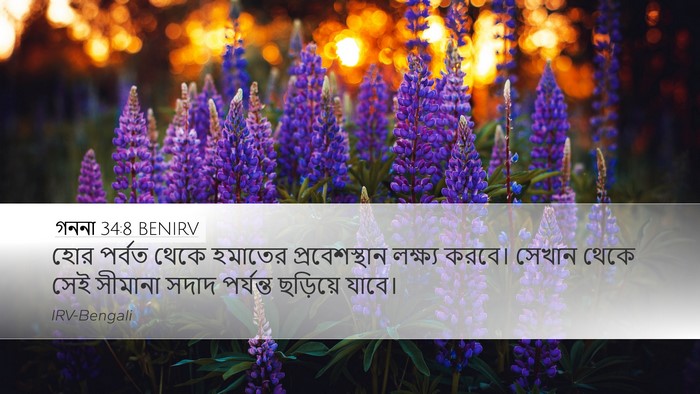 গননা 34:8 BENIRV Bible Verse Image