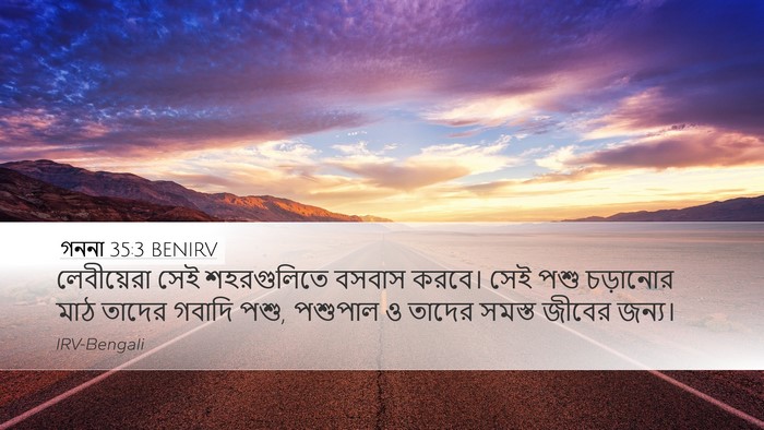 গননা 35:3 BENIRV Bible Verse Image