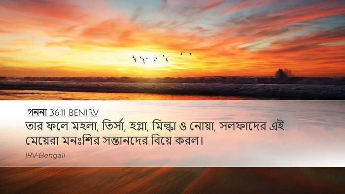 গননা 36:11 BENIRV Desktop Wallpaper - তার ফলে মহলা, - Desktop Bible Verse Wallpaper