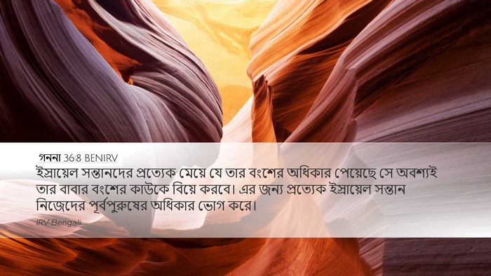 গননা 36:8 BENIRV Bible Verse Image