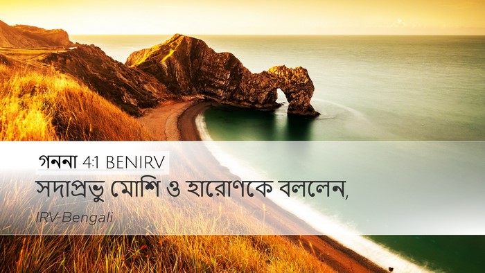 গননা 4:1 BENIRV Bible Verse Image