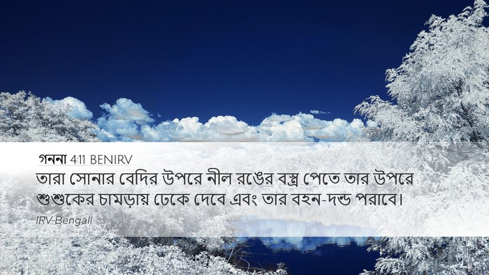 গননা 4:11 BENIRV Bible Verse Image
