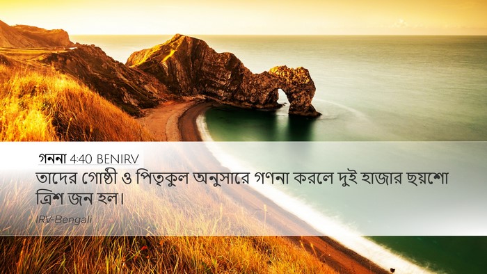 গননা 4:40 BENIRV Desktop Wallpaper - তাদের গোষ্ঠী ও - Desktop Bible Verse Wallpaper