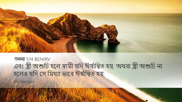 গননা 5:14 BENIRV Desktop Wallpaper - এবং স্ত্রী অশুচি - Desktop Bible Verse Wallpaper
