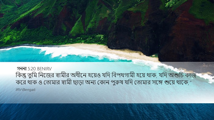 গননা 5:20 BENIRV Bible Verse Image