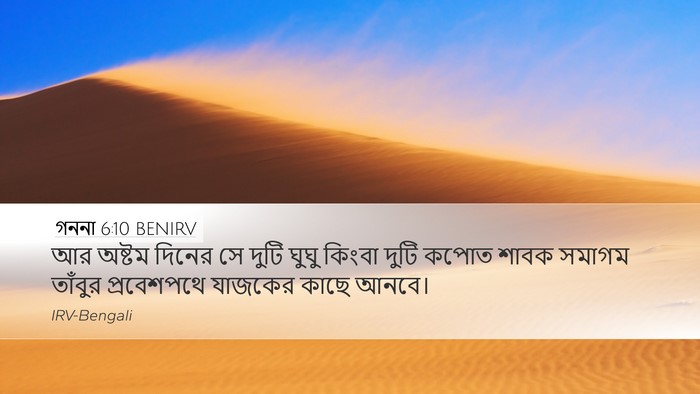 গননা 6:10 BENIRV Bible Verse Image