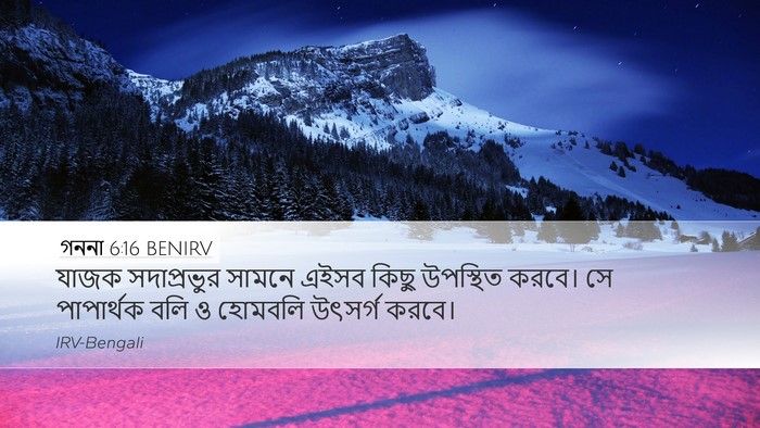 গননা 6:16 BENIRV Bible Verse Image