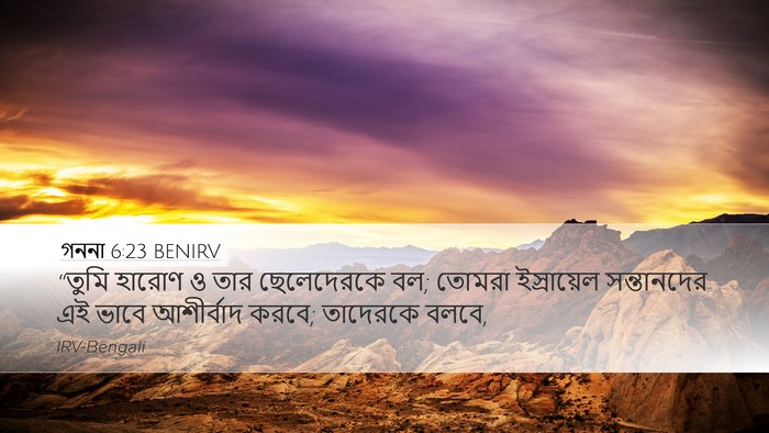 গননা 6:23 BENIRV Bible Verse Image