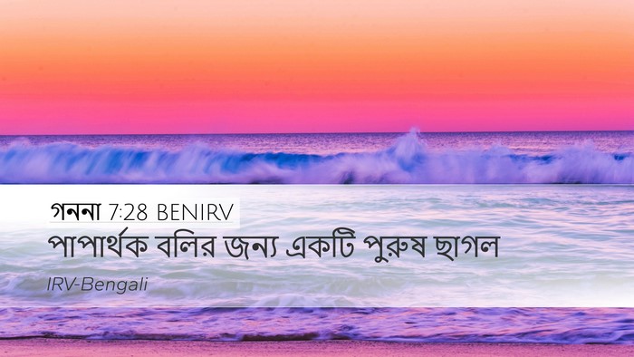 গননা 7:28 BENIRV Desktop Wallpaper - পাপার্থক বলির - Desktop Bible Verse Wallpaper
