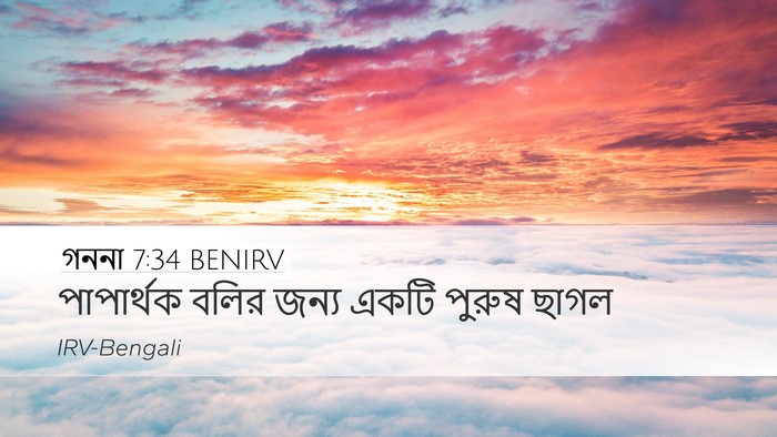 গননা 7:34 BENIRV Desktop Wallpaper - পাপার্থক বলির - Desktop Bible Verse Wallpaper