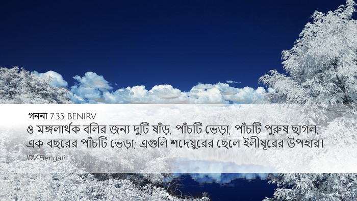 গননা 7:35 BENIRV Bible Verse Image