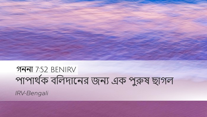গননা 7:52 BENIRV Desktop Wallpaper - পাপার্থক বলিদানের - Desktop Bible Verse Wallpaper