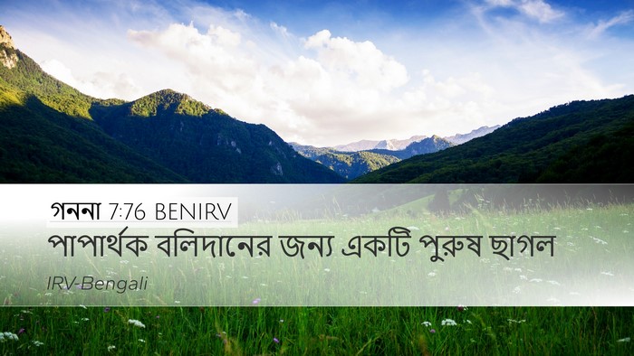 গননা 7:76 BENIRV Desktop Wallpaper - পাপার্থক বলিদানের - Desktop Bible Verse Wallpaper