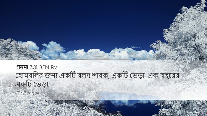 গননা 7:81 BENIRV Desktop Wallpaper - হোমবলির জন্য একটি - Desktop Bible Verse Wallpaper
