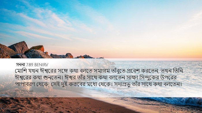 গননা 7:89 BENIRV Bible Verse Image