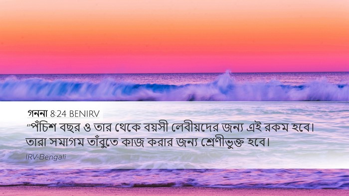 গননা 8:24 BENIRV Bible Verse Image