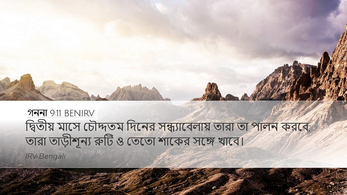 গননা 9:11 BENIRV Desktop Wallpaper - দ্বিতীয় মাসে - Desktop Bible Verse Wallpaper