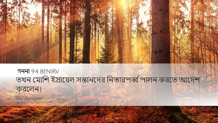 গননা 9:4 BENIRV Desktop Wallpaper - তখন মোশি - Desktop Bible Verse Wallpaper