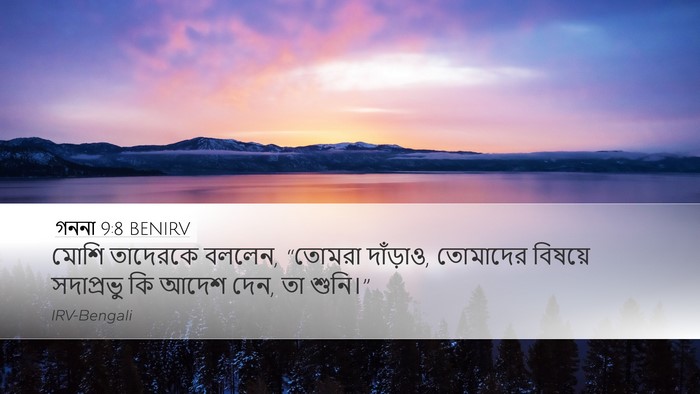 গননা 9:8 BENIRV Bible Verse Image