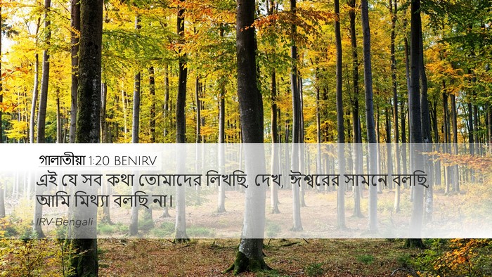 গালাতীয়া 1:20 BENIRV Bible Verse Image