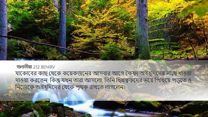 গালাতীয়া 2:12 BENIRV Bible Verse Image