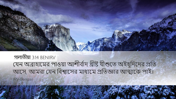গালাতীয়া 3:14 BENIRV Bible Verse Image