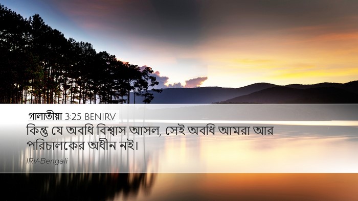 গালাতীয়া 3:25 BENIRV Bible Verse Image