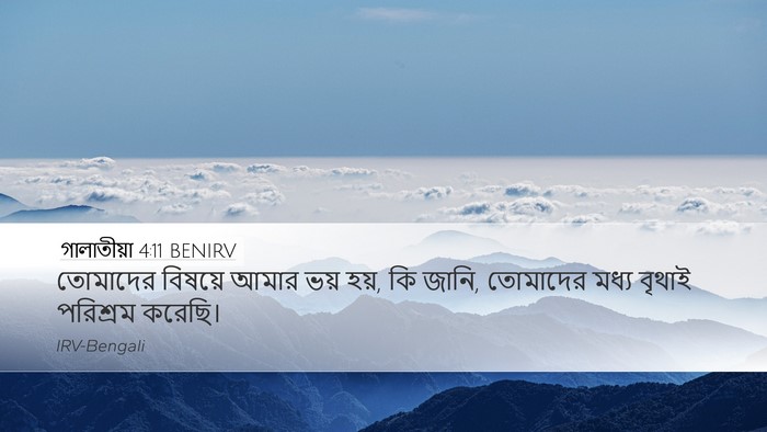গালাতীয়া 4:11 BENIRV Bible Verse Image