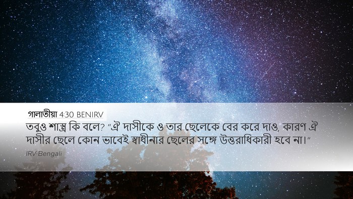 গালাতীয়া 4:30 BENIRV Bible Verse Image
