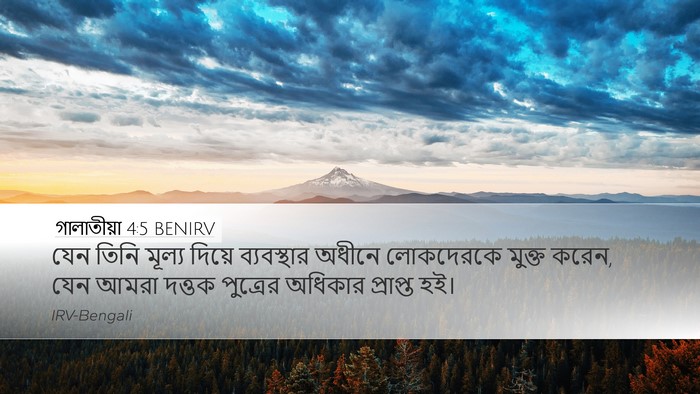 গালাতীয়া 4:5 BENIRV Bible Verse Image