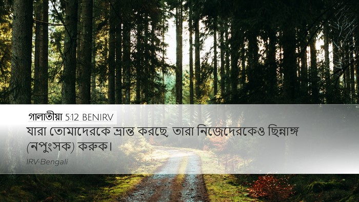 গালাতীয়া 5:12 BENIRV Bible Verse Image