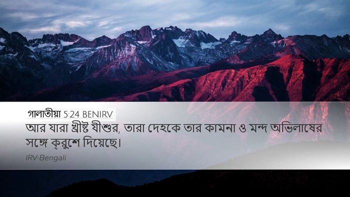 গালাতীয়া 5:24 BENIRV Bible Verse Image