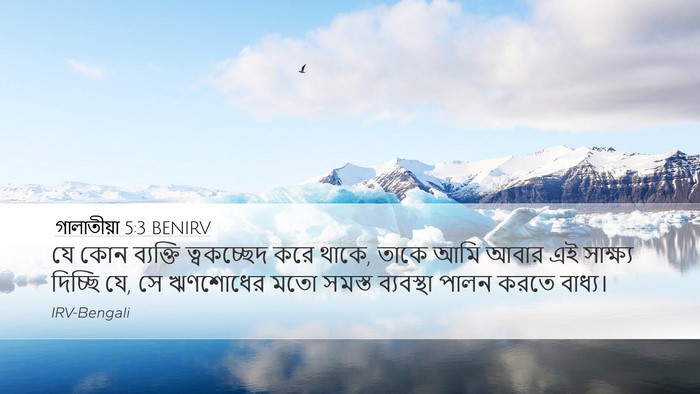 গালাতীয়া 5:3 BENIRV Bible Verse Image