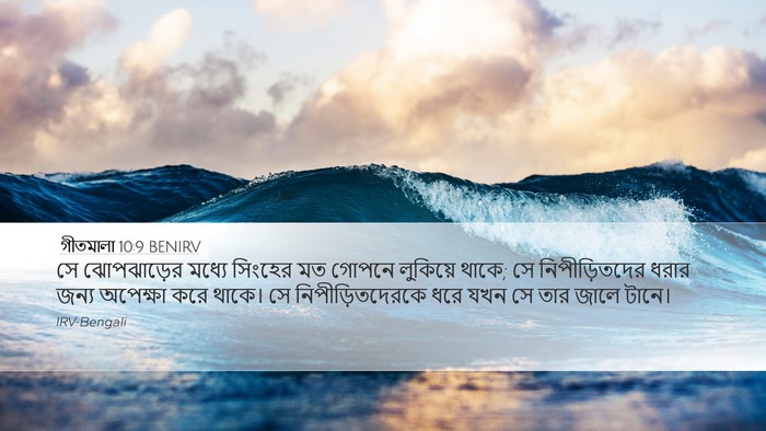 গীতমালা 10:9 BENIRV Bible Verse Image