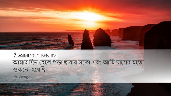 গীতমালা 102:11 BENIRV Desktop Wallpaper - আমার দিন হেলে পড়া - Desktop Bible Verse Wallpaper