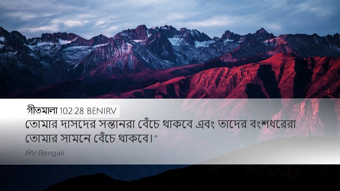 গীতমালা 102:28 BENIRV Bible Verse Image