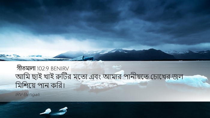গীতমালা 102:9 BENIRV Bible Verse Image