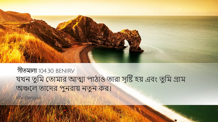 গীতমালা 104:30 BENIRV Bible Verse Image