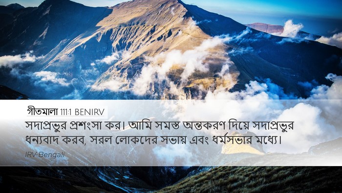 গীতমালা 111:1 BENIRV Bible Verse Image
