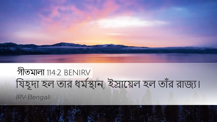 গীতমালা 114:2 BENIRV Desktop Wallpaper - যিহূদা হল তার - Desktop Bible Verse Wallpaper
