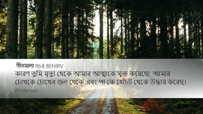 গীতমালা 116:8 BENIRV Bible Verse Image