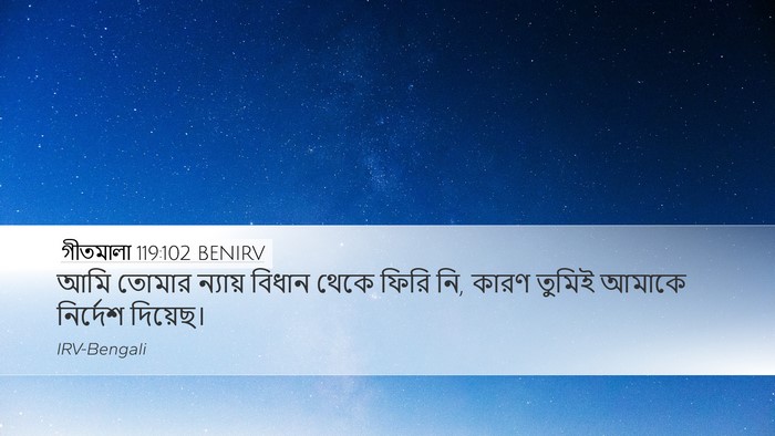গীতমালা 119:102 BENIRV Bible Verse Image