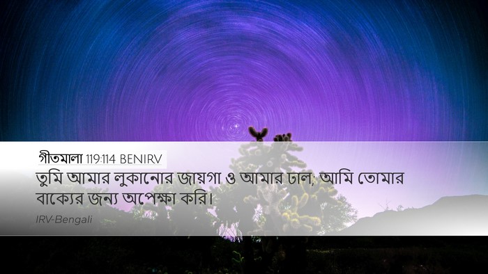 গীতমালা 119:114 BENIRV Bible Verse Image
