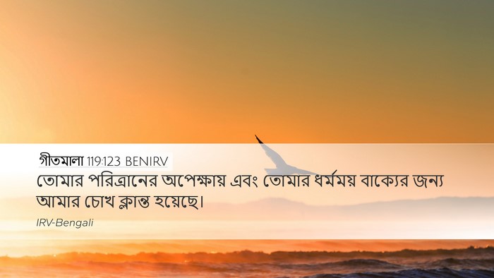 গীতমালা 119:123 BENIRV Bible Verse Image