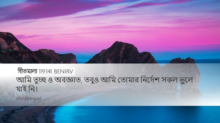 গীতমালা 119:141 BENIRV Bible Verse Image