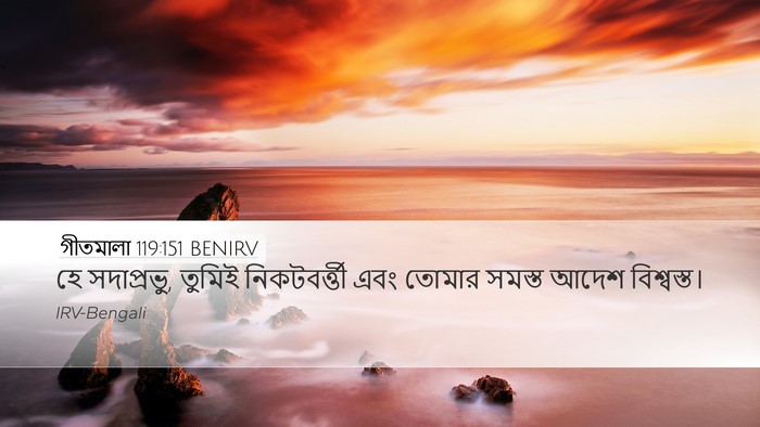 গীতমালা 119:151 BENIRV Bible Verse Image