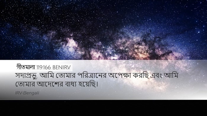 গীতমালা 119:166 BENIRV Bible Verse Image