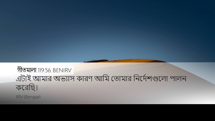 গীতমালা 119:56 BENIRV Desktop Wallpaper - এটাই আমার অভ্যাস - Desktop Bible Verse Wallpaper