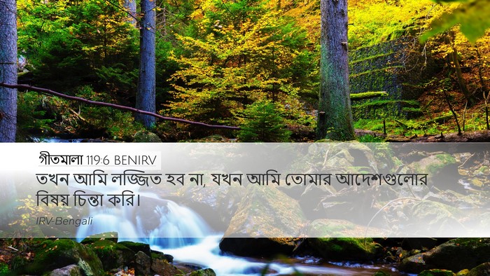 গীতমালা 119:6 BENIRV Bible Verse Image