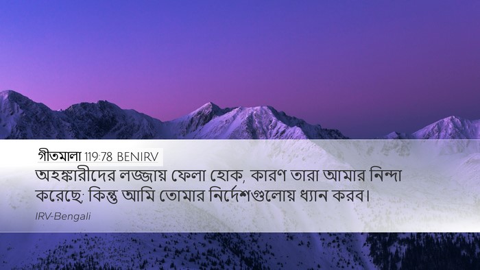 গীতমালা 119:78 BENIRV Bible Verse Image